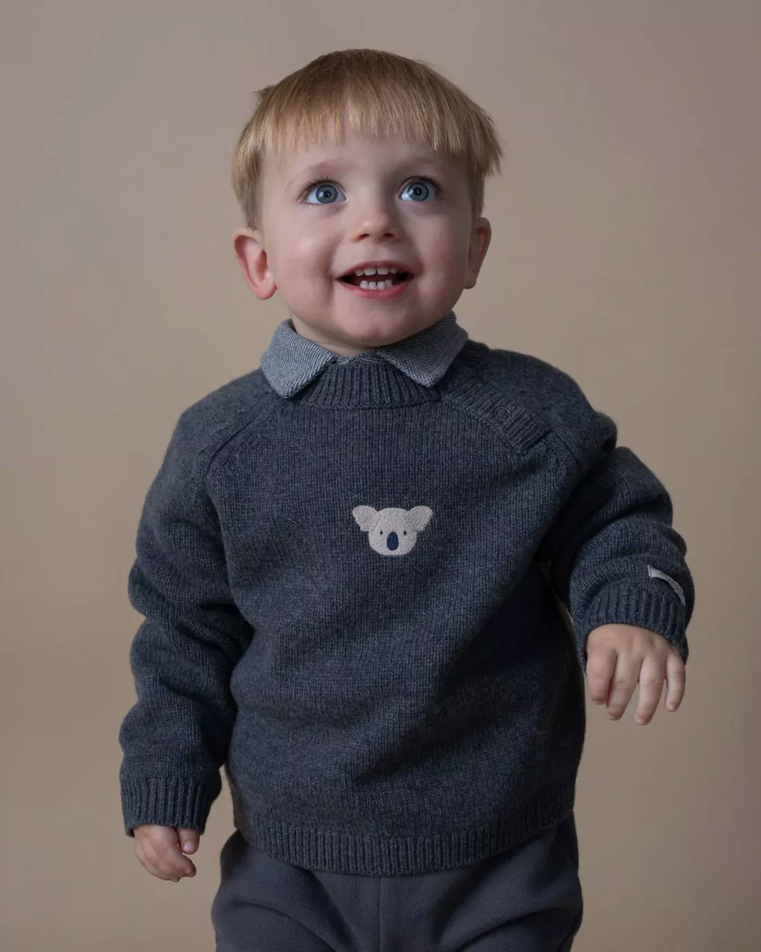 Pull en laine de merino, DONSJE