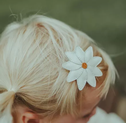 DONSJE pince à cheveux ZAZA